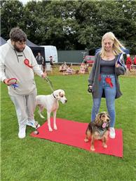 Mundesley Fun Dog Show